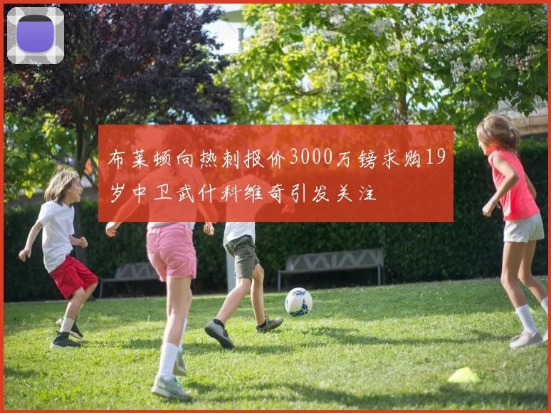 布莱顿向热刺报价3000万镑求购19岁中卫武什科维奇引发关注